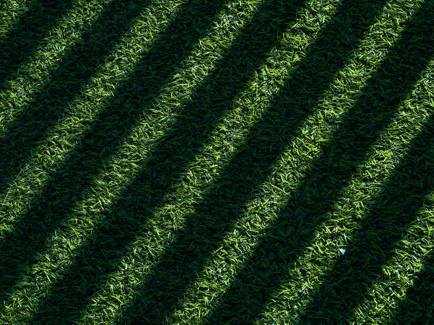 Late-afternoon diagonal shadows across a freshly cut residential lawn.