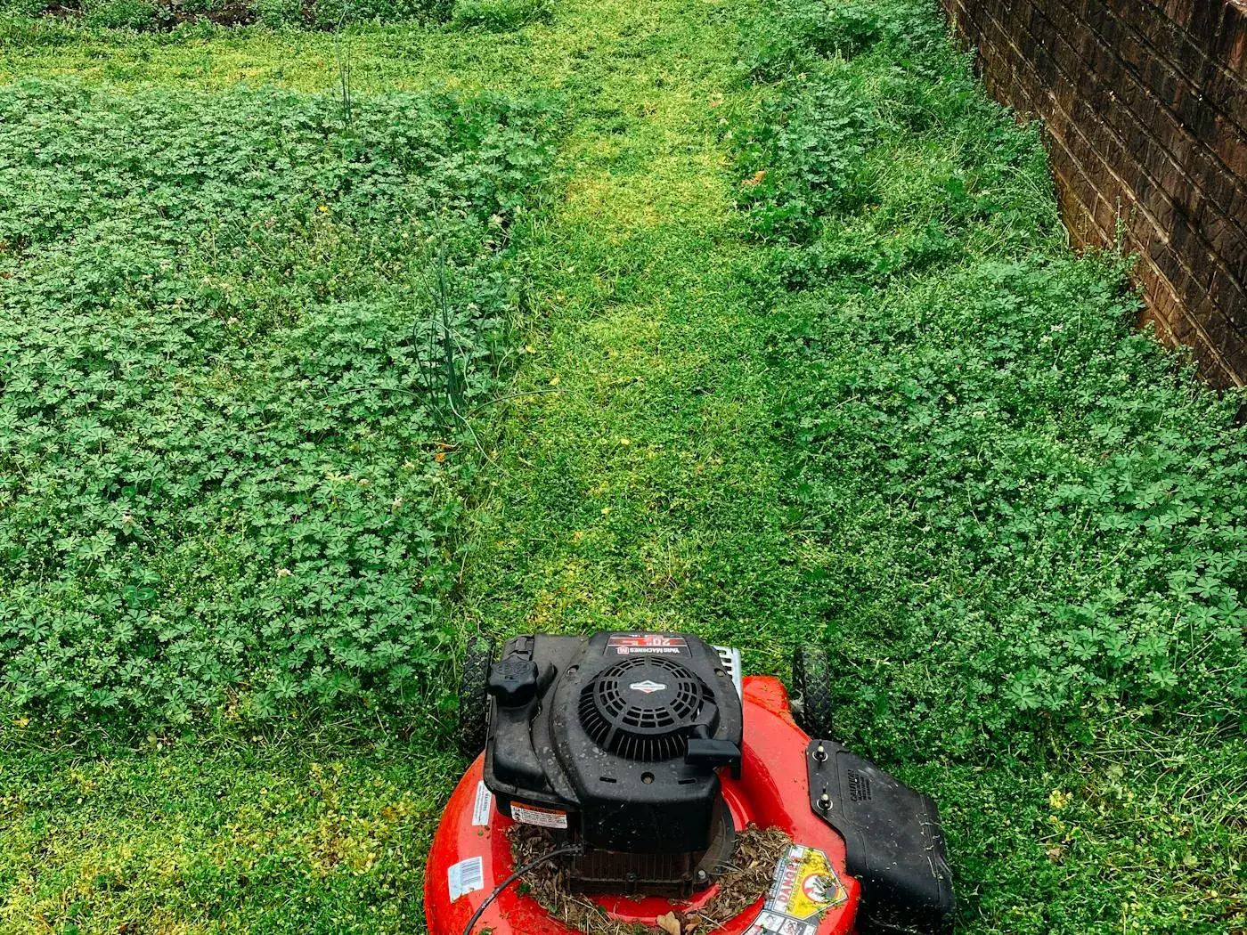 Red riding mower mid-cut leaving a clean stripe across a Bermuda lawn.